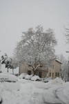 Monteroduni nevicata 2012  (43).jpg