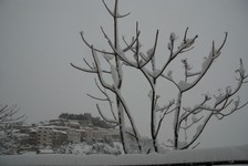 Monteroduni nevicata 2012  (45).jpg