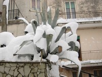 Monteroduni nevicata 2012  (72).jpg