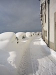 Monteroduni nevicata 2012  (83).jpg