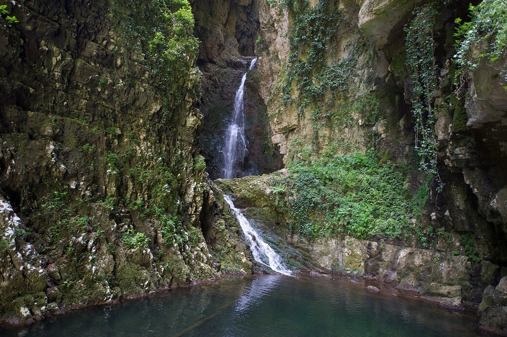 Tonza delle 7 lignole Tonza delle 7 lignole
