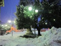 Monteroduni nevicata 2012  (84).jpg